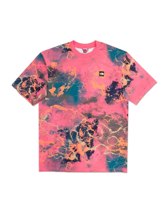 TNF Summer Logo Tee