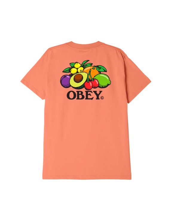 OBEY Bowl of Fruits Tee