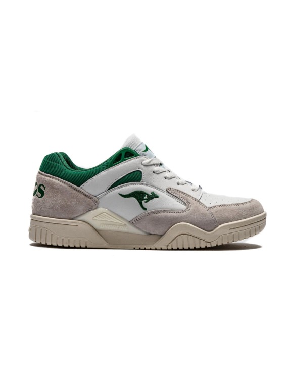 KangaROOS 3 Pointer 2.0