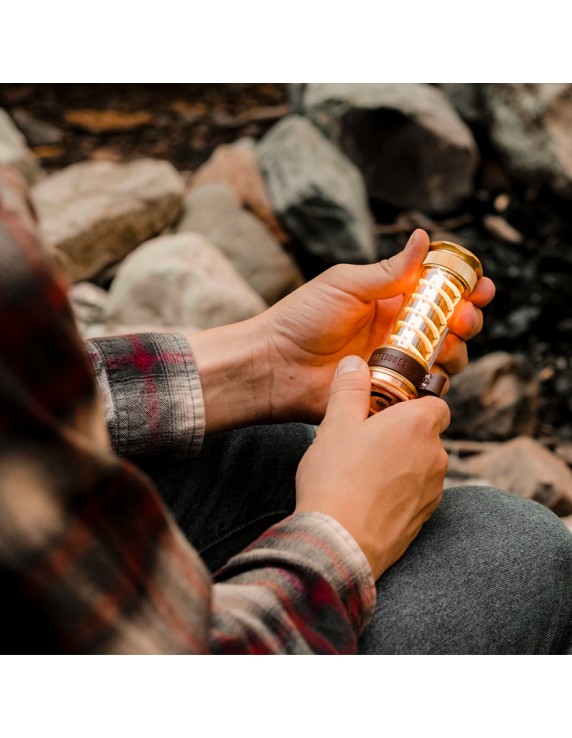 Barebones Edison Light stick Brass...