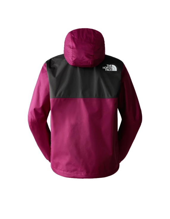 North face mountain q jacket purple deals