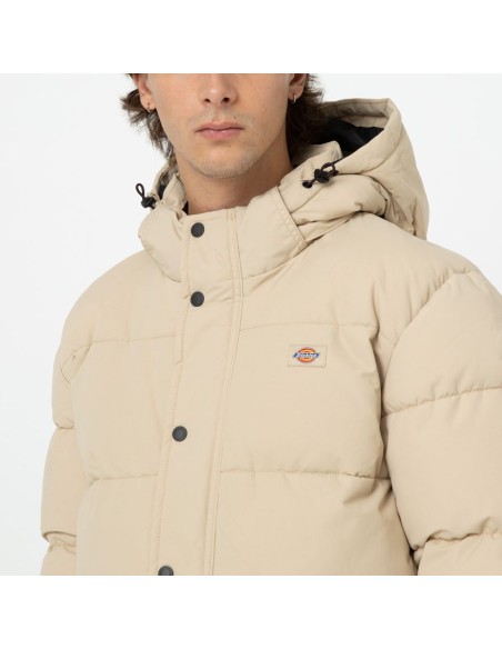 Dickies Glacier view Puffer