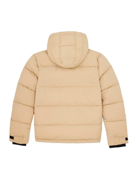 Dickies Glacier view Puffer