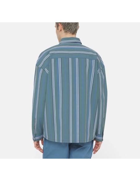 Dickies Glade Spring Shirt