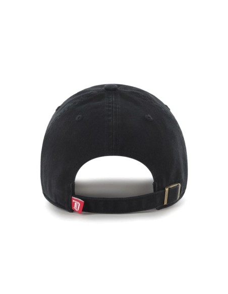 47' D Red Wings Clean Up