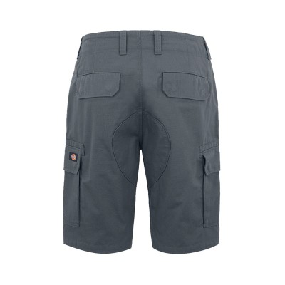 Dickies Millerville Short 2