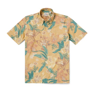 REYN SPOONER Stargazer