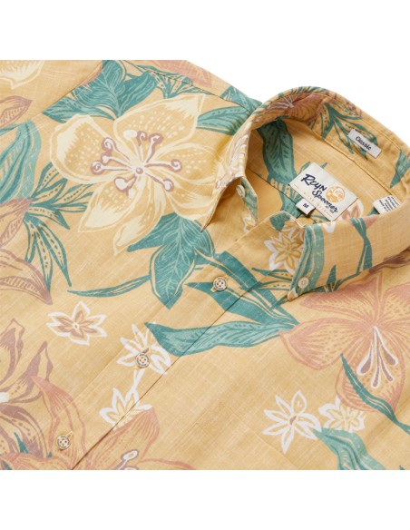 REYN SPOONER Stargazer