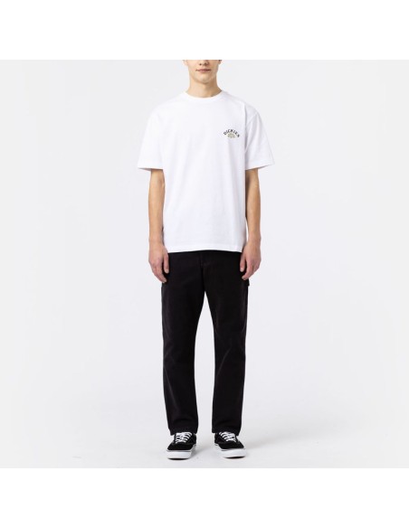 Dickies DUCK CARPENTER PANT