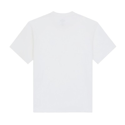 Dickies CLANCY HEAVYWEIGHT TEE 2