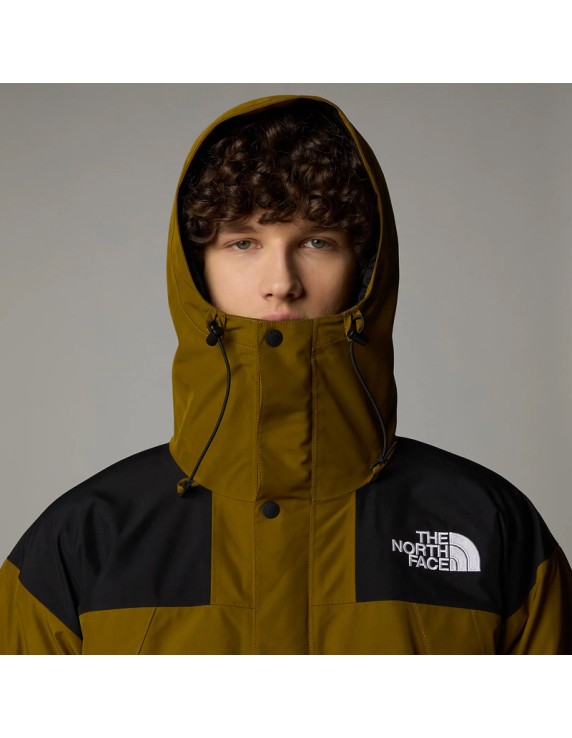 TNF GTX Mountain Jacket Moss Green