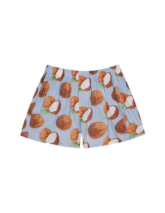 Druthers Organic Cotton Boxer Watercolor Coconuts