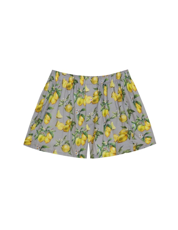 Druthers Organic Cotton Boxer Water Lemons