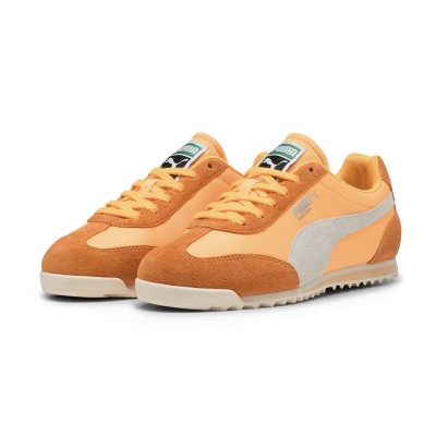 Puma W Arizona 2