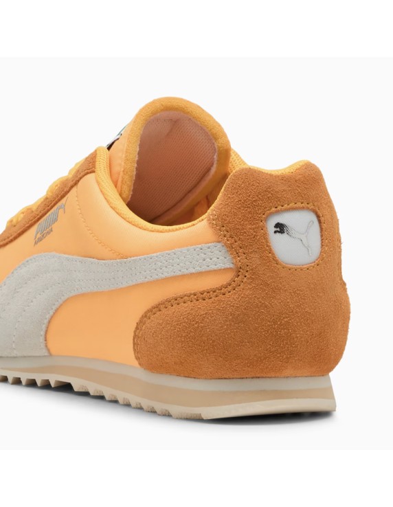 Puma W Arizona Puma W Arizona