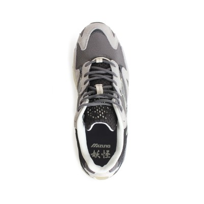 Mizuno Wave Rider 10... 2