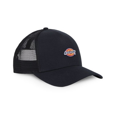 Dickies Hanston Trucker