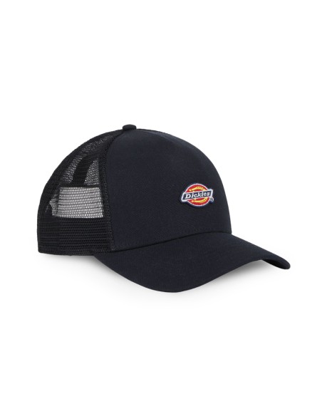 Dickies Hanston Trucker
