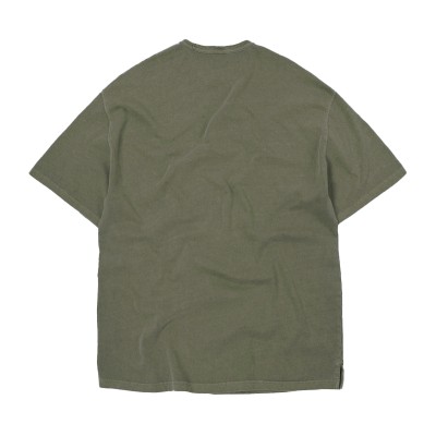 FRIZMWORKS Og Pigment 2