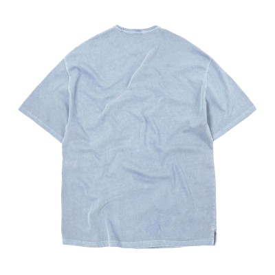 FRIZMWORKS Og Pigment 2