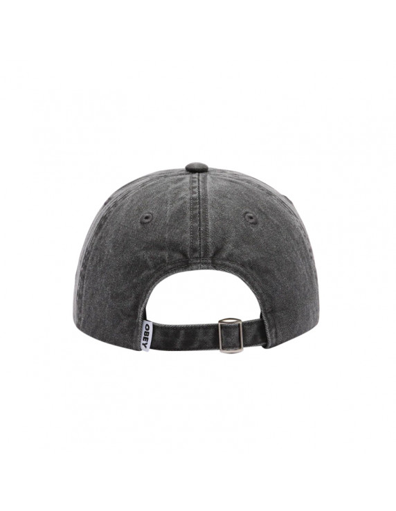 OBEY Pigment 6 Panel