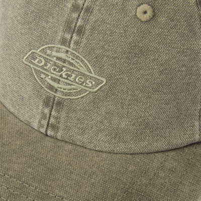 Dickies Canvas Dad Cap 2