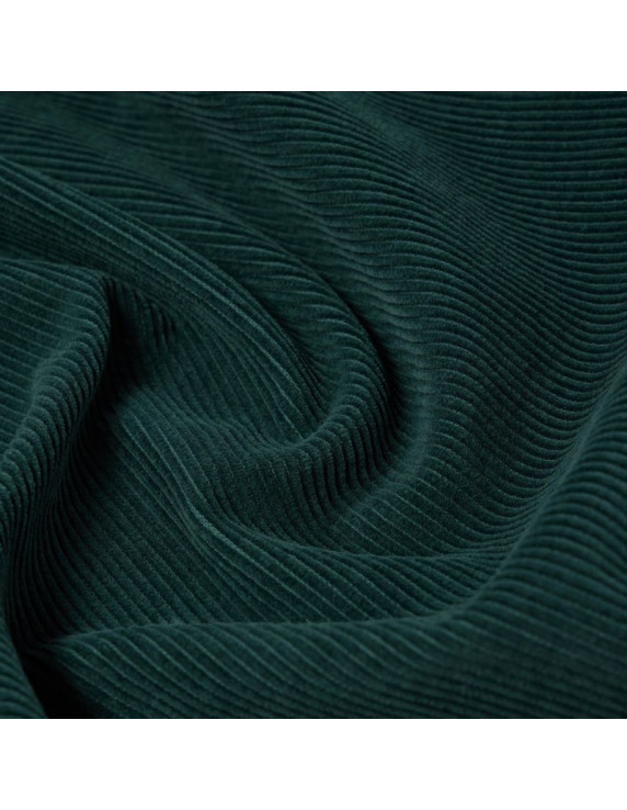 Edwin Ander Shirt LS