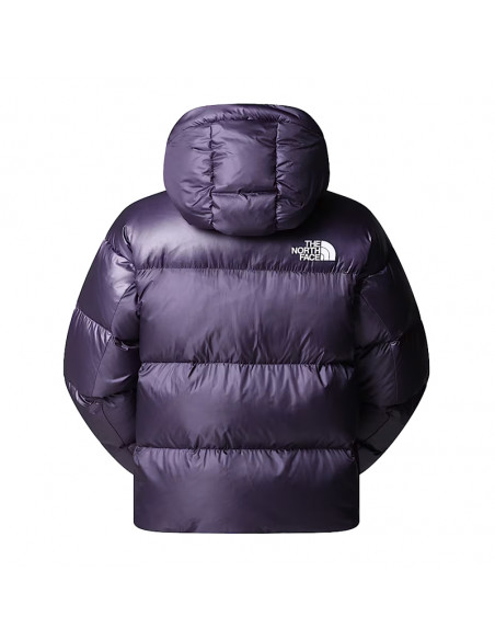 TNF Down Jacket Pertex