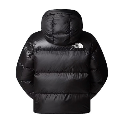 TNF Down Jacket Pertex 2