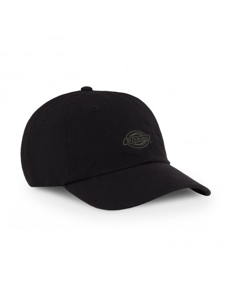 Dickies Duck Canvas Dad Cap