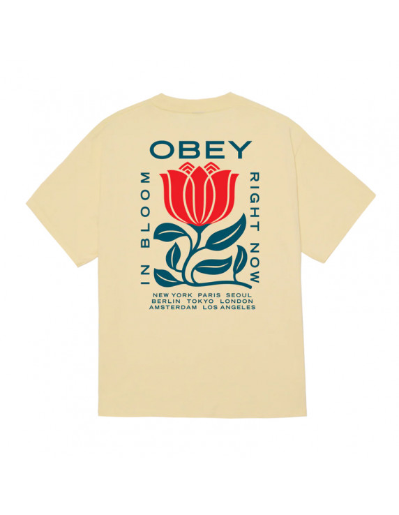 OBEY In Bloom