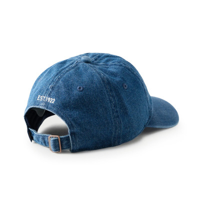Dickies Denim Dad Cap 2