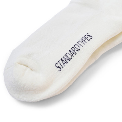 STANDARD TYPES Navy Socks 2