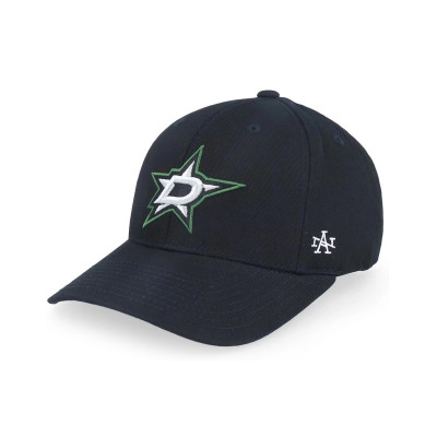 AN NHL Dallas Stars