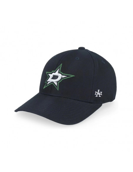 AN NHL Dallas Stars