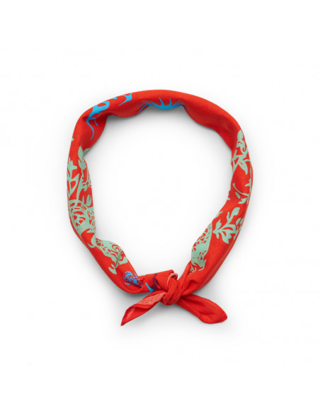 Edwin bandana