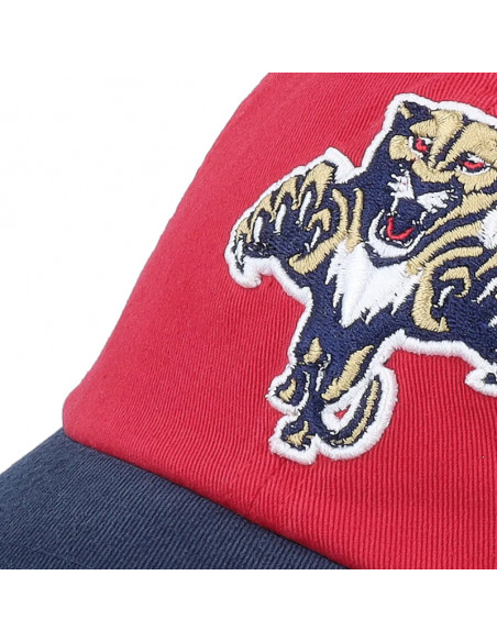 AN NHL Florida Panthers