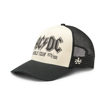 AN ACDC Sinclair