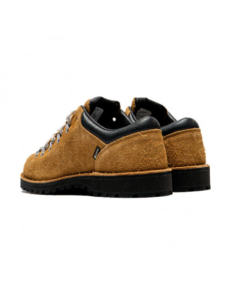 Danner Trail field Low Gtx