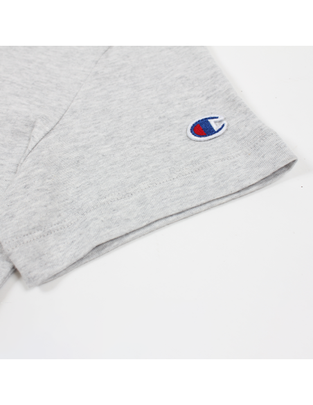 Crewneck T-Shirt Michigan