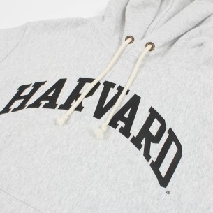 Hooded Sweatshirt Harvard 2