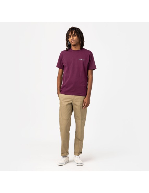 Dickies Slim Straight Double Knee REC