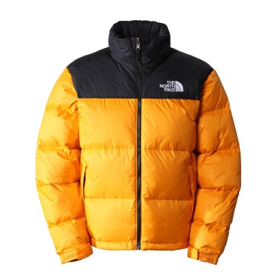 TNF 1996 Retro Nuptse Cone...